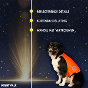 hofman-image:b5e7cc091797db07593f49d79823e17c0fecc351740fae8fa1630fc63c5e2bd4