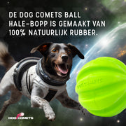 hofman-image:042f3a91e73fa95be0d671298a468970800d1b1fc1d460eef2f9090fb4f21269