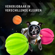 hofman-image:64365f5c2cdfc2b155cd75c49bf812b4890352a3a5c9a47e14979dacc0e04f54