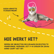 hofman-image:1a8cc8219e5f5ab53452309bbaeb98477950e0841ae82664624aa948a2c1274b