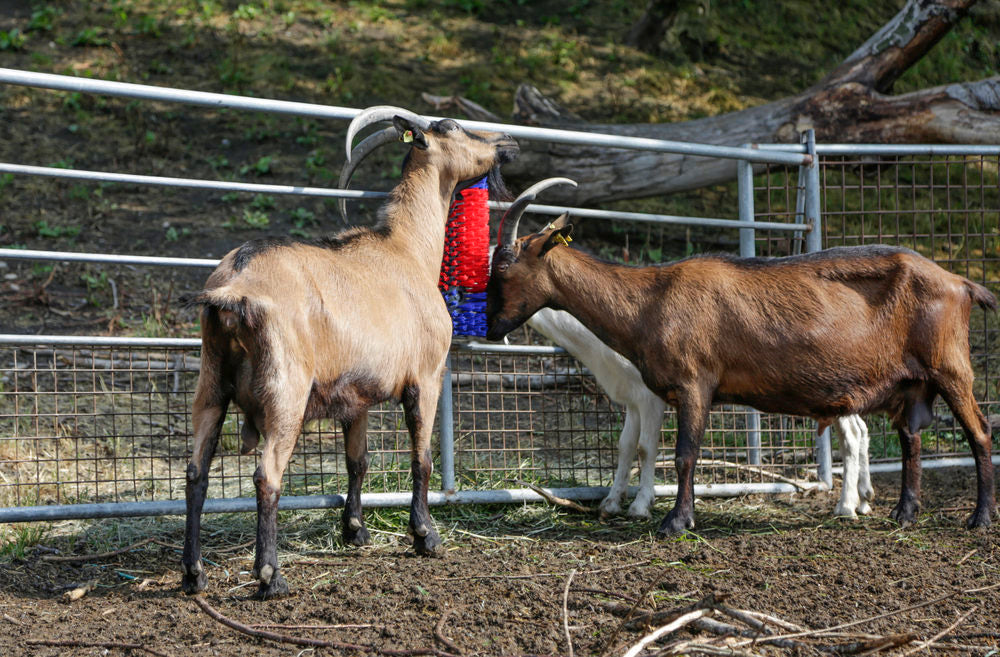 hofman-image:25925fd3af7be4a47135d623fbb52c91e65e804b3bd5ac352ae1719d43c30b88