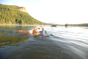 hofman-image:6e0c5c8a2b8e306d53a486e324d6103f9eb7eba94666b6803e07547373619efa