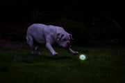 hofman-image:dda69816e1b6f3a56b30e915a8b1727755b8be9ad56ad6bbe3912bfa8b4acb42
