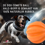 hofman-image:fe73d533907e59240f850aa07908b36dcc1309553bd9acc3c01c3f45e1c2a31f