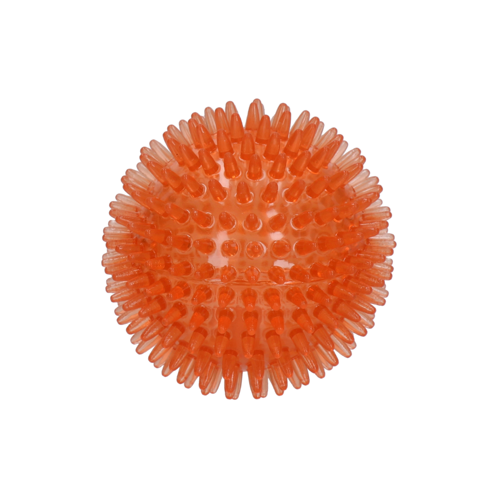 hofman-image:6503b83ffdfb42f7a3e1858ec1ce8f212417616516ec2e6a06ecd31198d732af