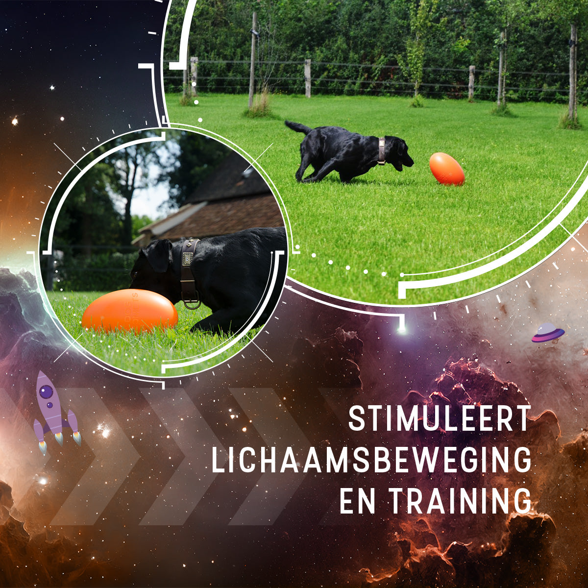 hofman-image:a3767ee772563d5b59750bb347c1980eb75bb6c9ded94afeceb7acbc982f7755