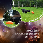 hofman-image:a3767ee772563d5b59750bb347c1980eb75bb6c9ded94afeceb7acbc982f7755