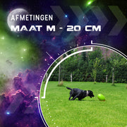 hofman-image:38210732b48a4c689ee89754dc76b6c4b4e9afc5561b5a9a4effb1c50642afd9