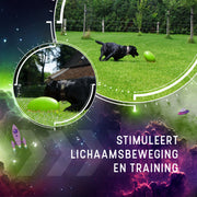 hofman-image:e13a7b2db70a2062134ead5b7e120586183b422f913f38240b2352eedc240986