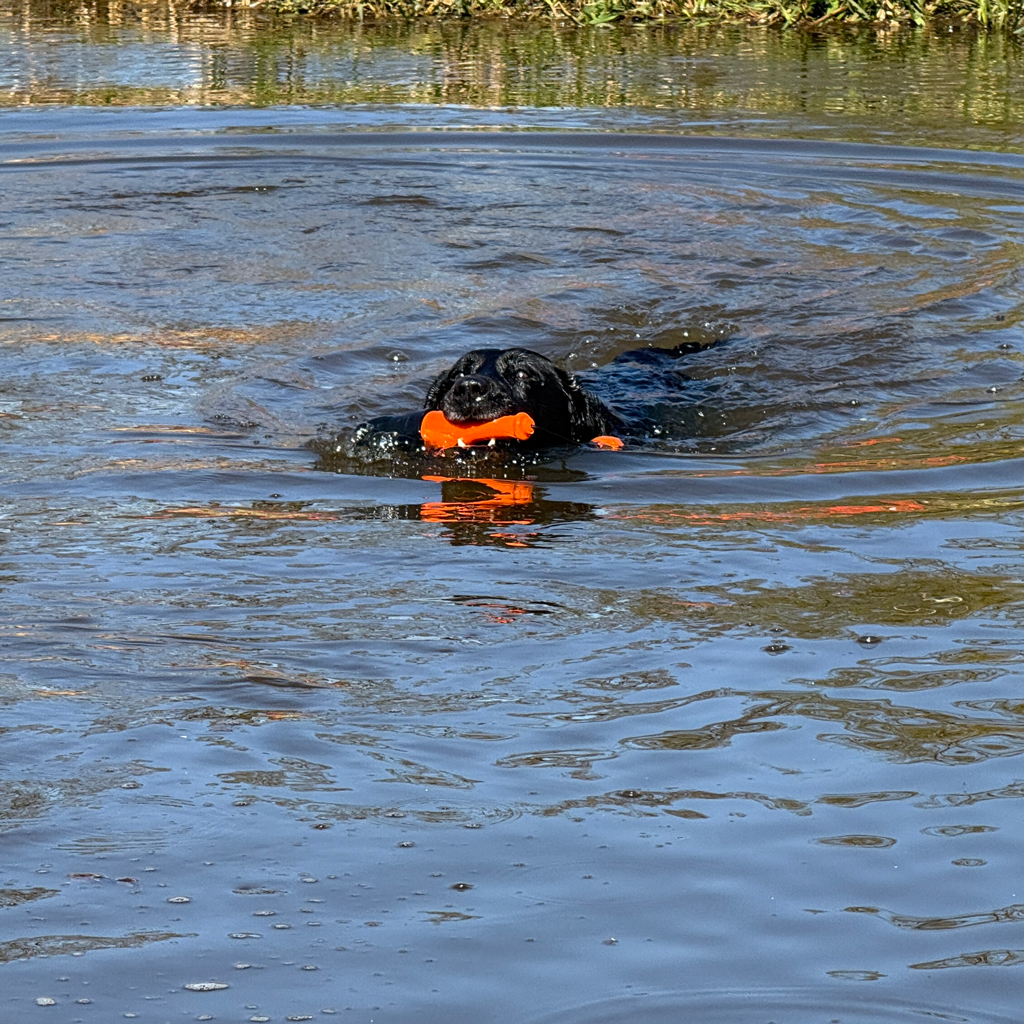 hofman-image:506c8df07b67eaf549222bb8dad89fd241b97137df44fa05459c382d0e1e239d