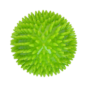 hofman-image:4698961dae52d1fa1b88c8b0135c798ea2609365482d32ad2569ea023761edb2