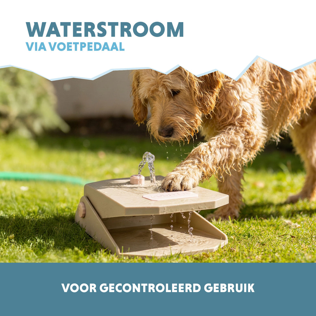 hofman-image:5b5acfd175d9afaa8ed9bcc9a4693f5f4ed00135c64cd5ab2f5dcc096265db1e
