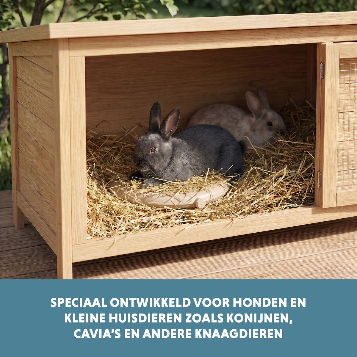 hofman-image:d4678517f40b4fcda8fa28dc6c36909555c698b24923b5c993101ea750adab0b