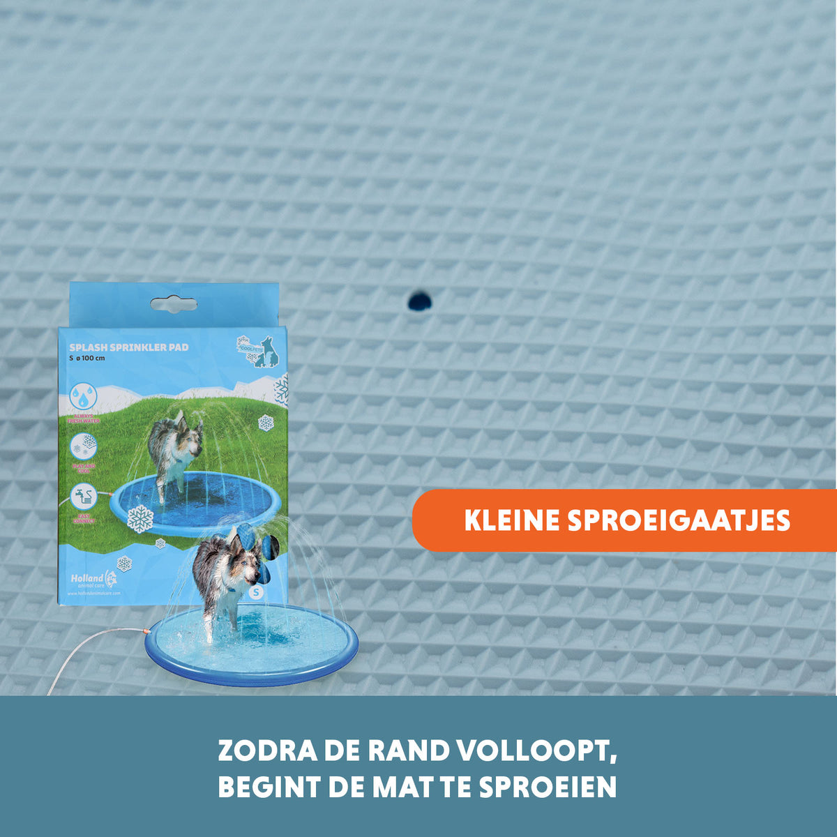 hofman-image:b6cd5ba8fda60652709715b7c457c03dc3d4c4fff5de2ba6cc0a073b730dbb07