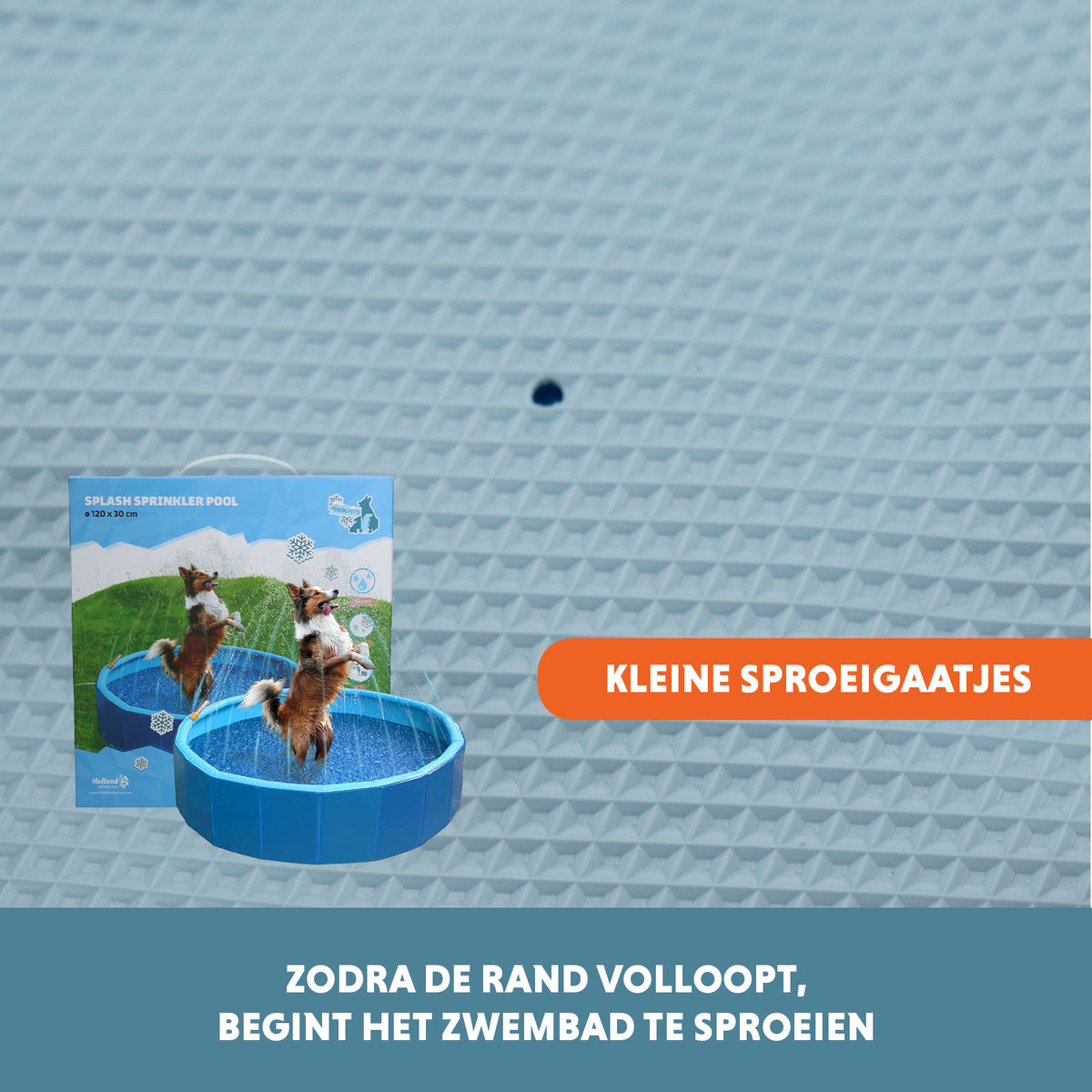 hofman-image:ec2dfe67726d23e4a306203829042f2731b17dc3fba444e96f9224ecaeab03f5