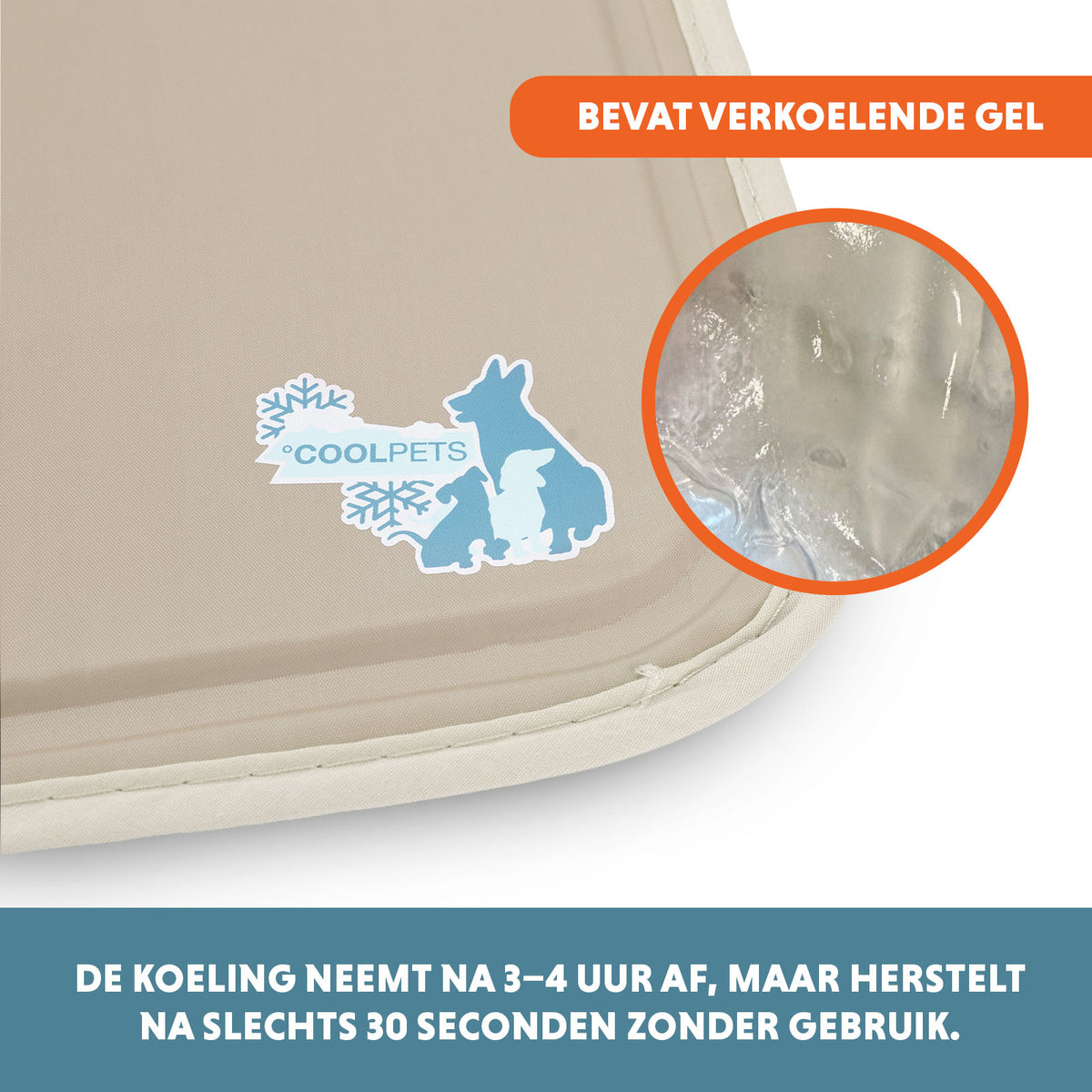 hofman-image:faab5c76e3d81305016b617206baa6be88893e1b12c3e604486884dfe37007fe