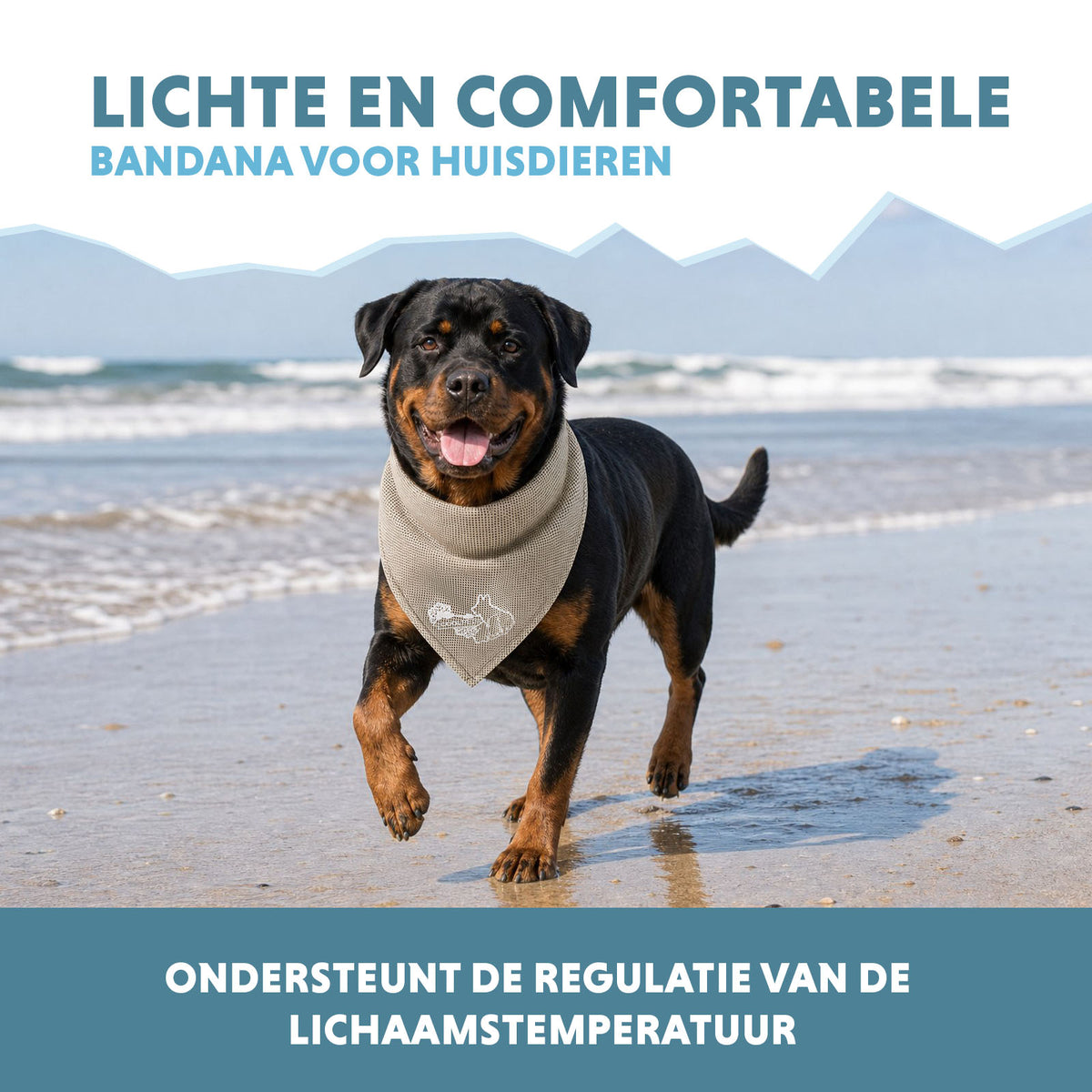 hofman-image:1d9b6ee9126b77fb96eae19df1885be640ef94c0519ed72408336824425f1027