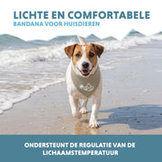 hofman-image:6ad27c881070741a36be029978f8464fc8aa6e22cb9dab6e1184348a86c24dc5