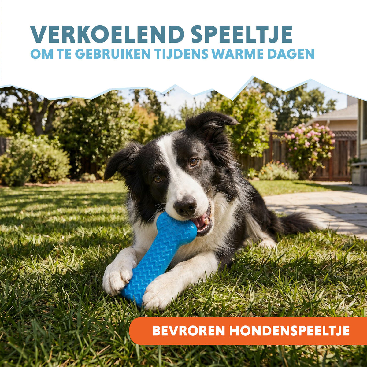 hofman-image:e9f231c83c4a329080ff246edd739d35852251cc283ad25e7665226967750851
