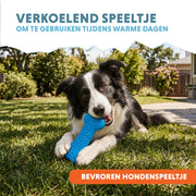 hofman-image:e9f231c83c4a329080ff246edd739d35852251cc283ad25e7665226967750851
