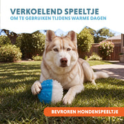 hofman-image:f8b55653b802ebc5435bb1f803ece70da61815e97f3e3b5f582ab3371e577699