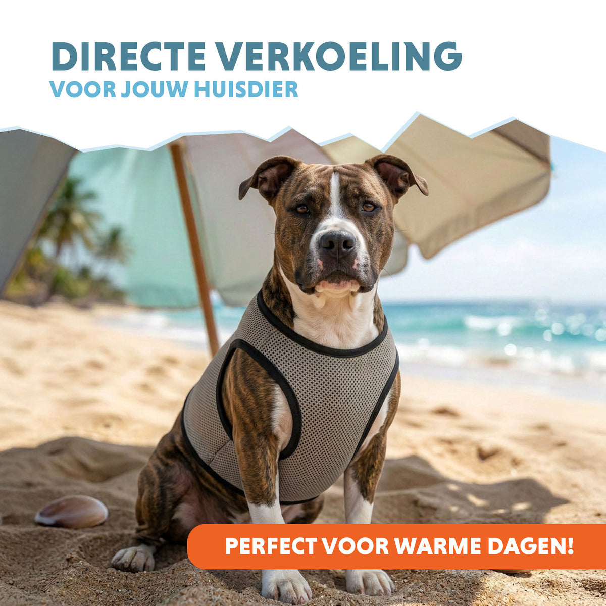hofman-image:159016a03bd4965400775e84ddb2f10412a03bd00d7ef73616f546c896095b65