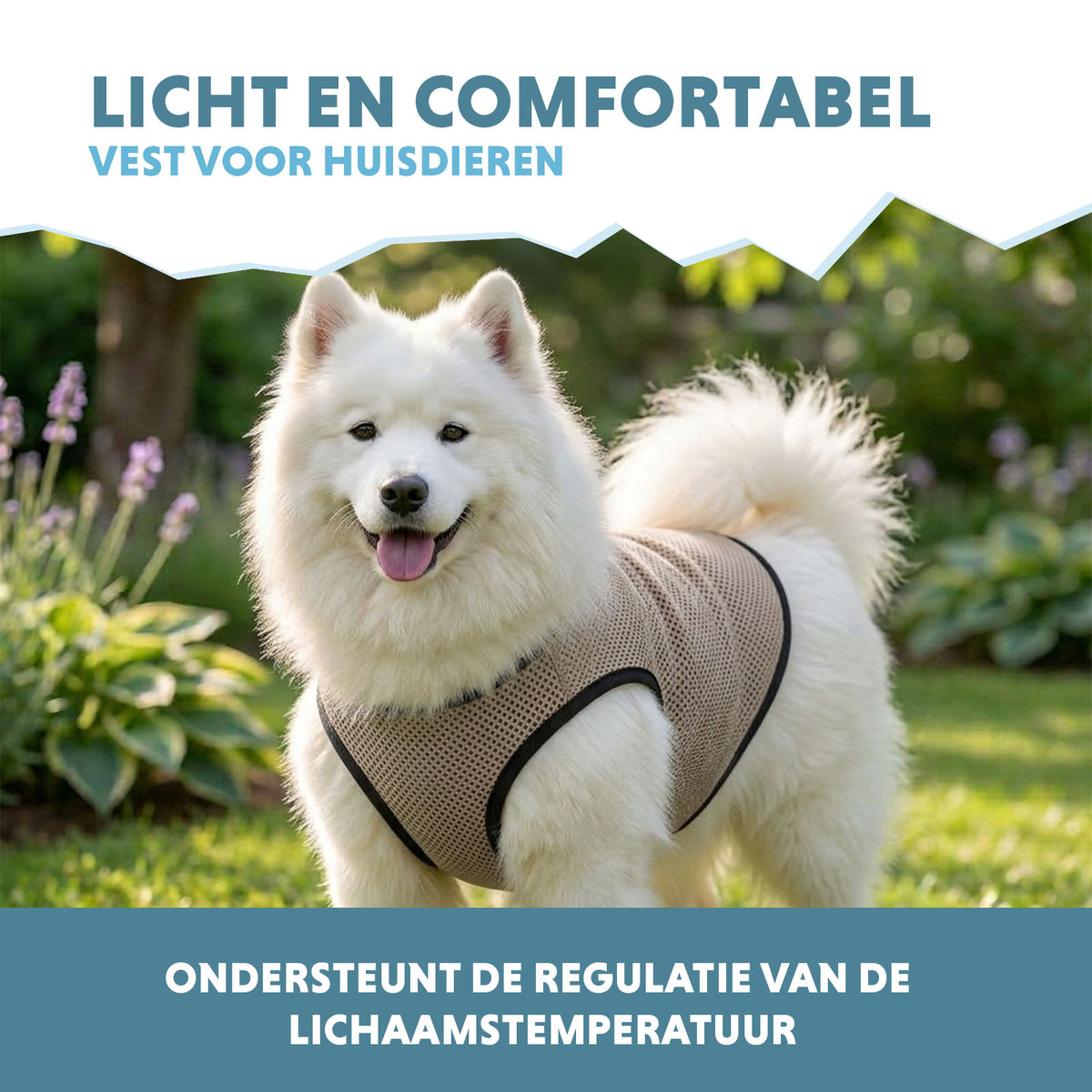 hofman-image:96b09253cd47733553c576c58ccd7060c2d9240480b453cc2fdea87548d477a1