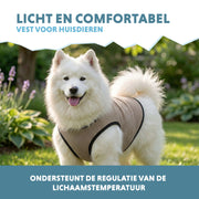 hofman-image:96b09253cd47733553c576c58ccd7060c2d9240480b453cc2fdea87548d477a1