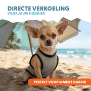 hofman-image:2635f022cfe7fd7bf9dcb9aed9925cded40a8bbb06f45ce59e606965be8e8506
