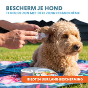 hofman-image:08561c7881c14bad1ab5a9e8973736a6ab0762f6c4f26d1ebdc501a6e502a7d8