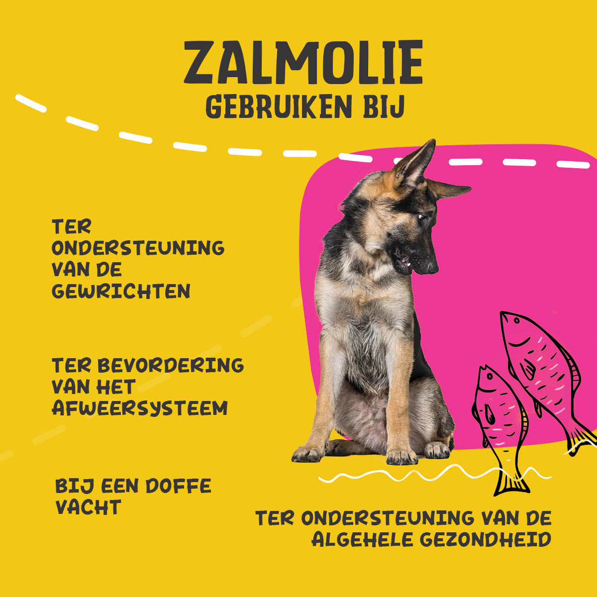 hofman-image:a63310101f302a46353748ebfd51f9291ede3c21ab50dfdb8e99de94c2a29223