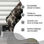 hofman-image:0207e3dc580e4d2afd8ac1fcdbdc7a96df77dd33f65e77ebbde6675653e592a8
