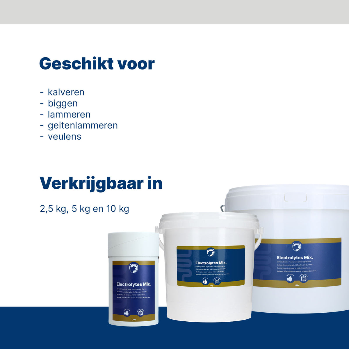 hofman-image:f0519ea4c81604459462c7cc6f5b96dc4e699f6eefcf67af752c0c2ad0522445
