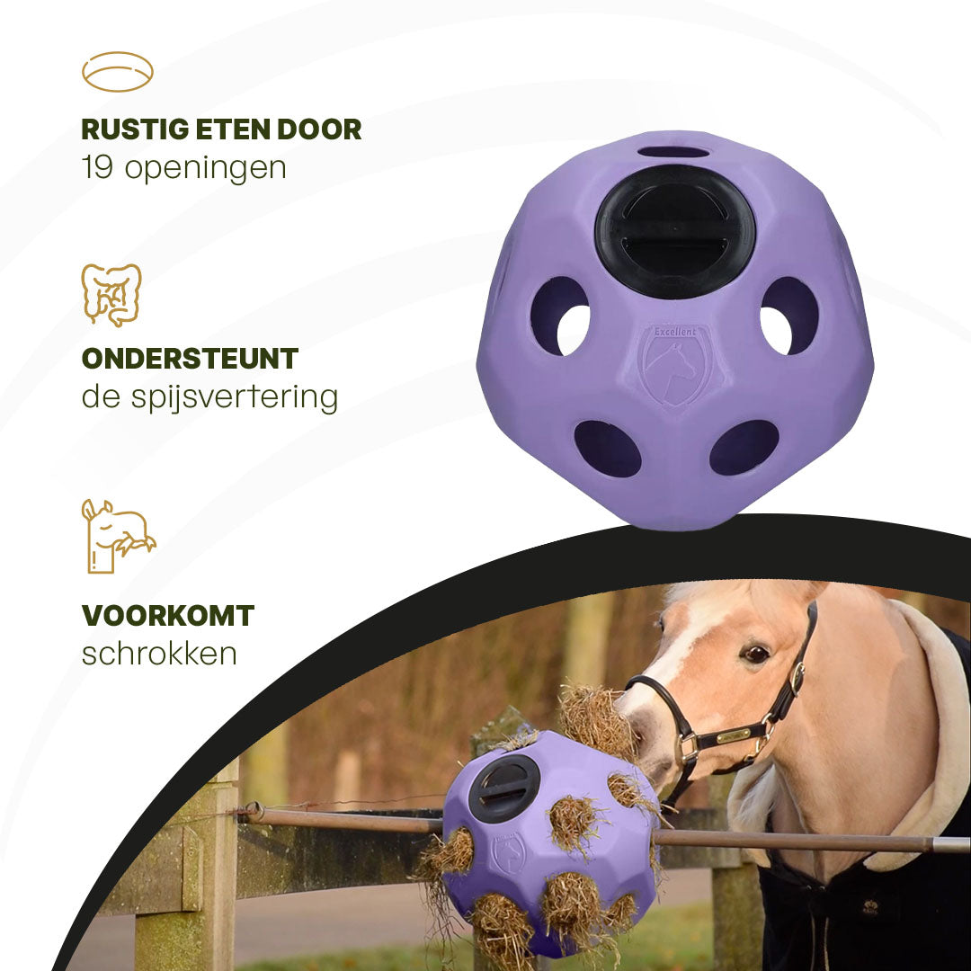 hofman-image:578d85c3c260bb240cd3c0555edc045ee7669ba98d9278464af8534443448d2b