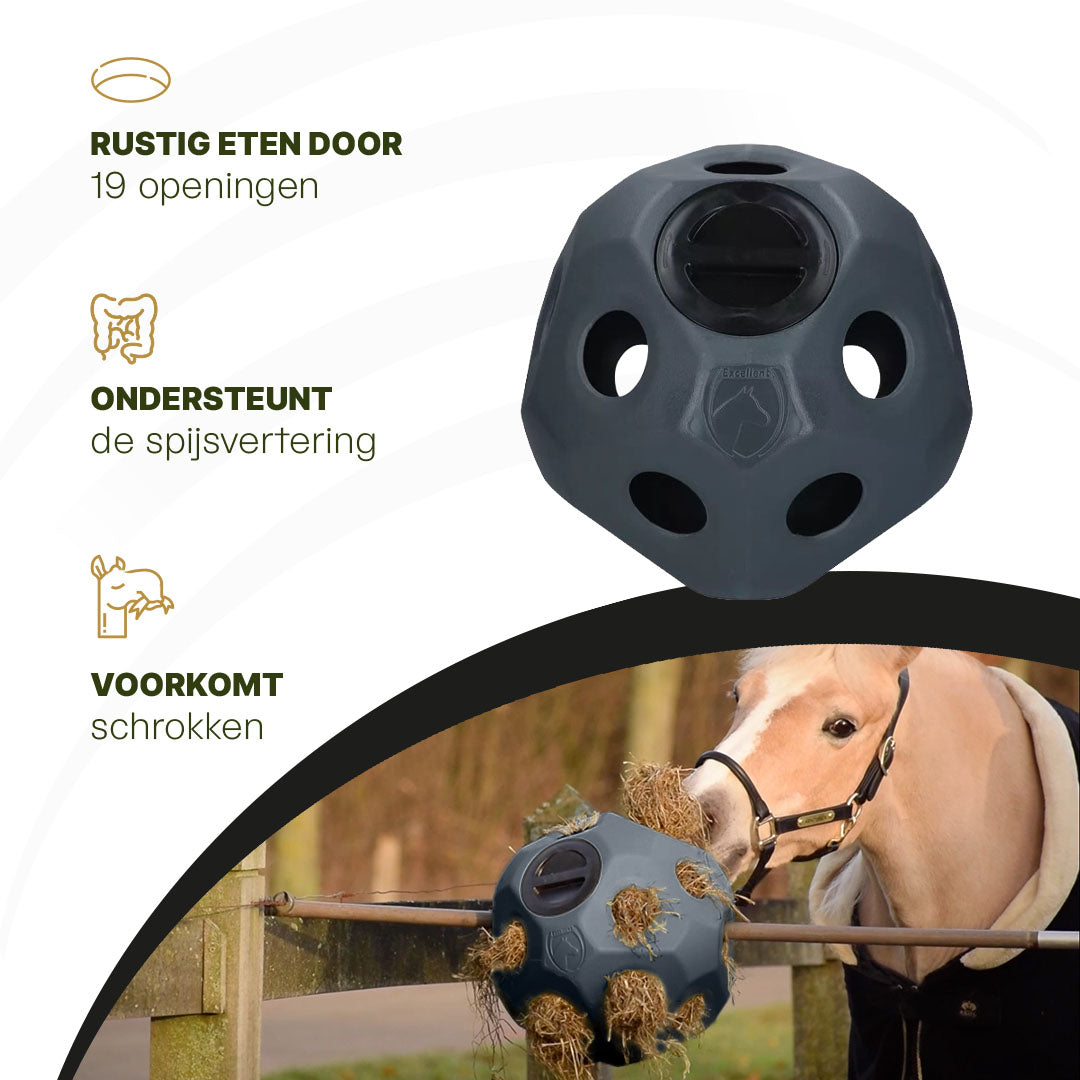 hofman-image:9659381a0aa5d0422abb52dc2d049b85c9b9c197a921ac6a88f08bf7274e4ad9
