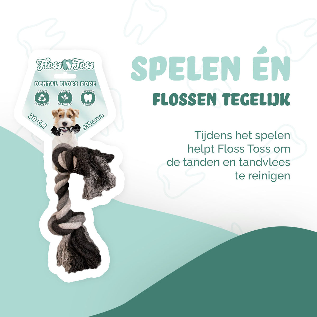 hofman-image:4f7b9d52904bd4def1df68ec33e9f37991dc940aec37c4f178a27083f6be2d4b