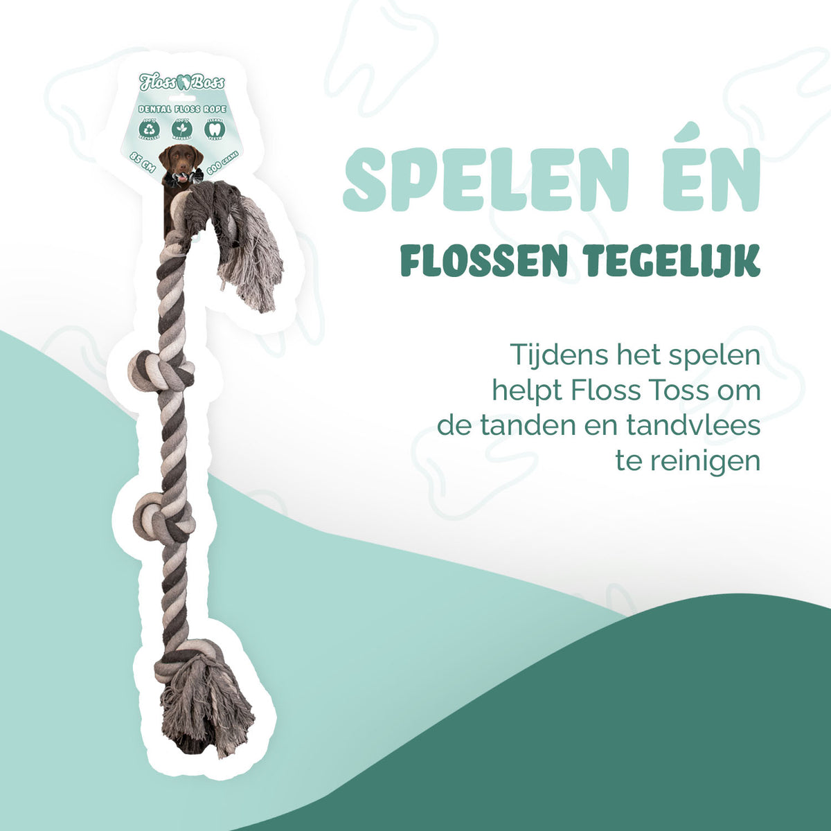 hofman-image:40b529d955eb932cc20626cf55501f9d8d87a1566ee35604a4598a415a1010ad