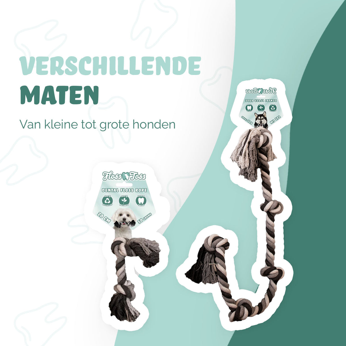 hofman-image:7d2bd4925b51d579e8bf4b9c98683bd80aabfad823e2dab51e19239f689038ca