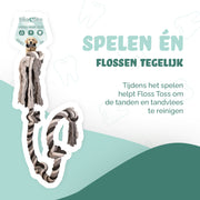 hofman-image:5c0aa5ba00ff36ea112ce1f21617c2563515caf8d6043f493568b245039d1379
