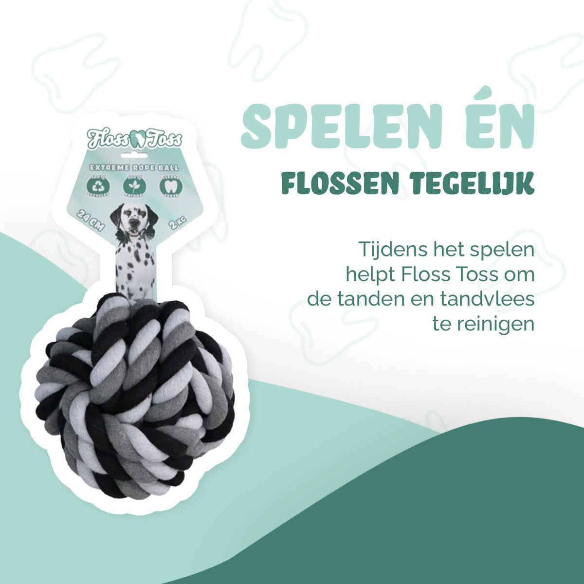 hofman-image:d4ff05ea5edb794d97f5b22d3926e82e0924b77c7fb33c84dd3a61ec7cf37ff0
