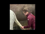 hofman-image:22f8d6c6c661b24311aecdf81be11e5e8320d633654a77dc217644c6c7fdaaca