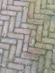 hofman-image:d1a4b2e6a364fd863185586ba2be72f68a51fa13bf6a25515d436b6483059fe9