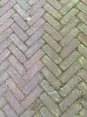 hofman-image:4cc9e81aaf9a3f4ae9915a91dfed1b5c63b125e524278aadc3ce7a4698028e25