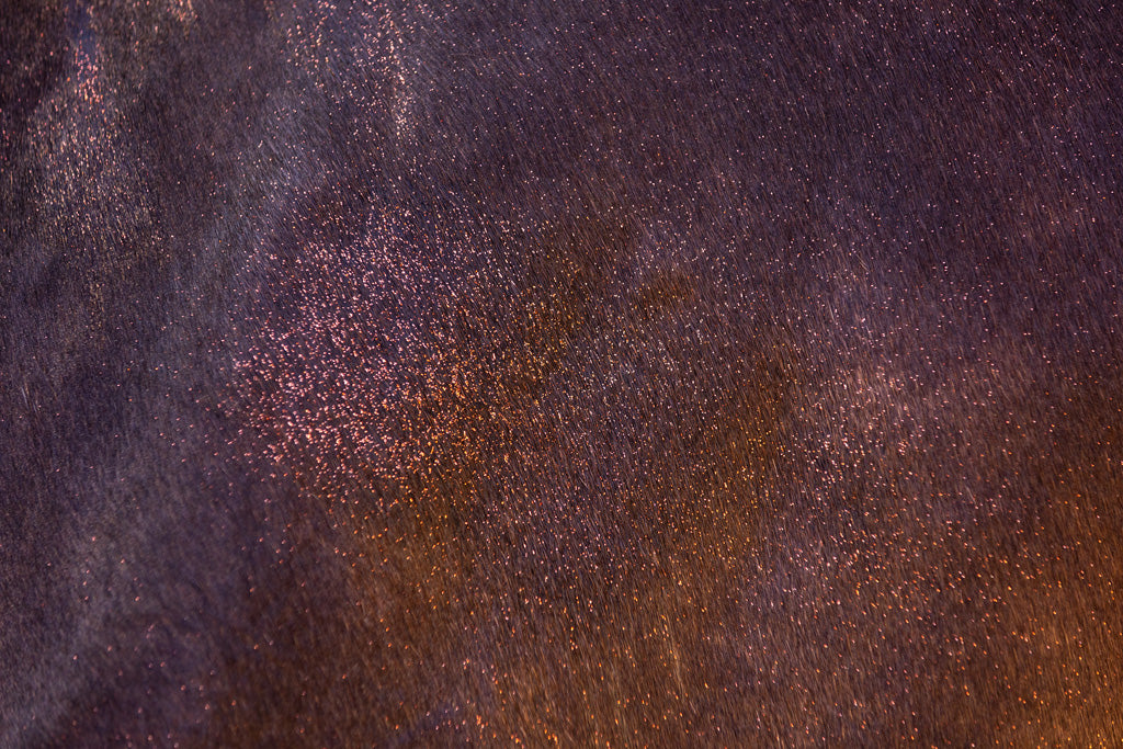 hofman-image:bd0b12427778702810951dab7092531c8bd4541acf03a76dcc1b5e71e253884a
