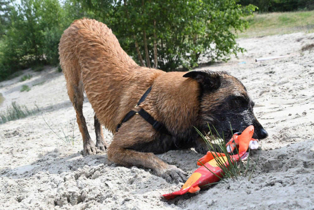 hofman-image:f5063647bedc9675f61863e916bd0796d9890c68e73124282b38e1676234b480