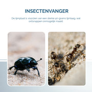 hofman-image:01c27687bfd26f5c9e55bac2abbab0e14ed151c5173e3c9b840ee0ffcbedd725