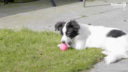 hofman-image:2985949cd2cb5fbc8c2a43a46f5a29f05ed186483ae2d0d94a916f86208147e5