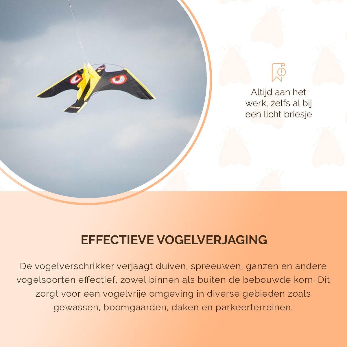 hofman-image:b9837abb154e738efe8ff2eaa44e60b866aa164948c4379ea1831debdf255f84
