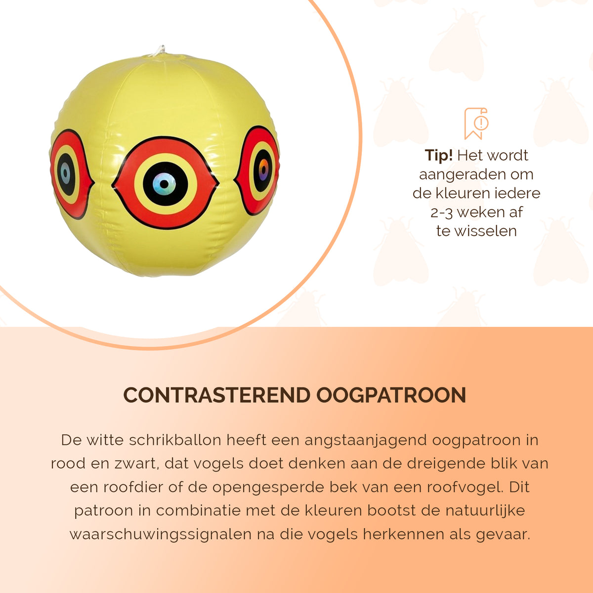 hofman-image:99979c8db4e65e95837ad549e22697e4cc730d25814c9c0863e3d8194e3eaef3