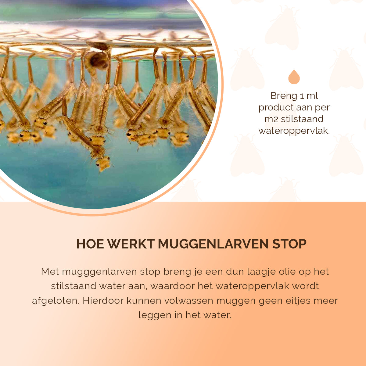 hofman-image:0d82771bb4e17f42c1440177891d9979a20819b753713bd515a4cd3024750879